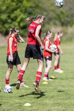 Bild 62 - F SG NieBar - IF Stjernen Flensborg : Ergebnis: 2:0